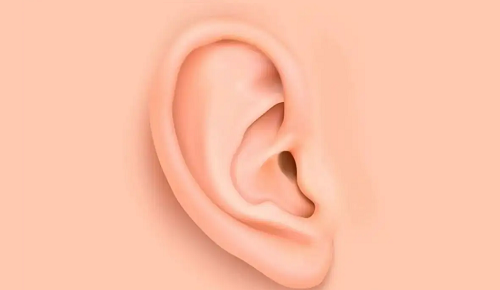 女人耳朵的形状与命运图片